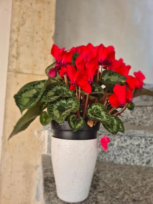 La Dolce Corte Brenta Εξωτερικό φωτογραφία
